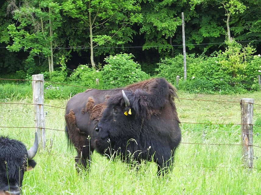 Zum Vatertag unterwegs