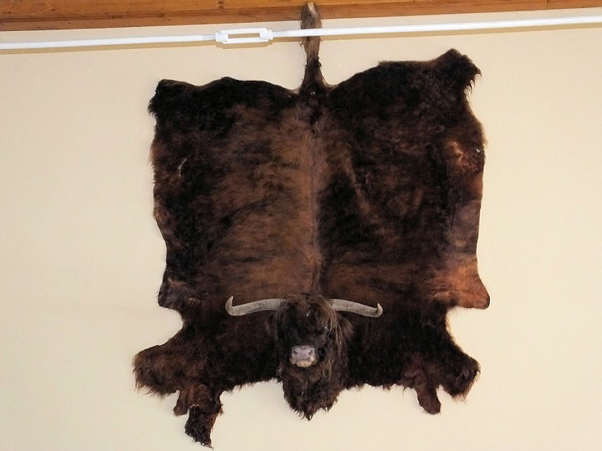 Zum Vatertag unterwegs