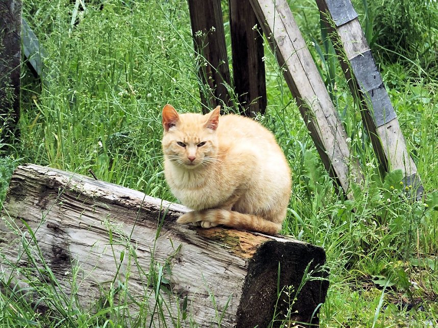 Zum Vatertag unterwegs