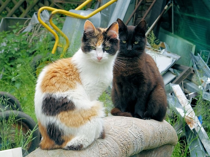 Zum Vatertag unterwegs