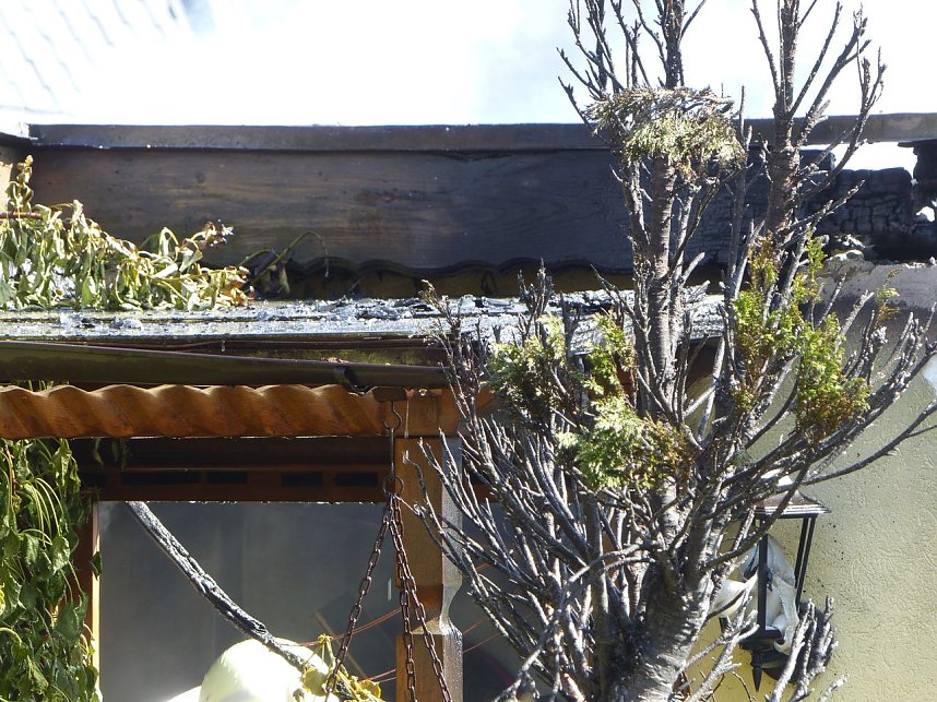 Feuer in der Vogelsiedlung