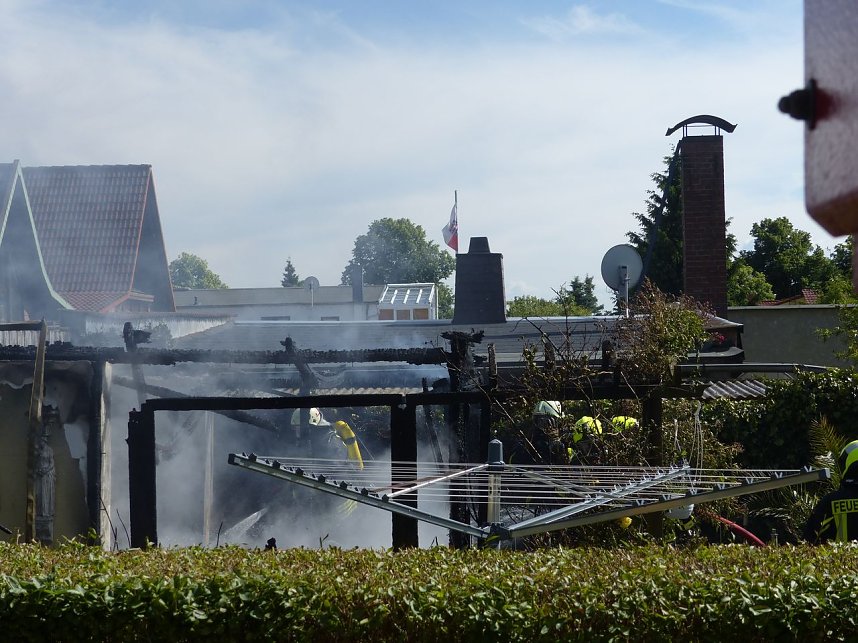 Feuer in der Vogelsiedlung