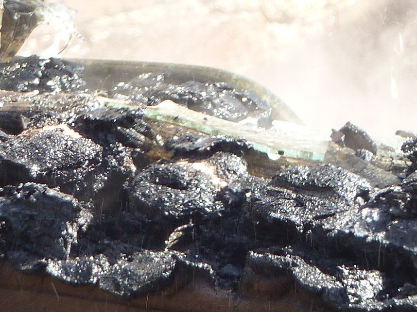 Feuer in der Vogelsiedlung