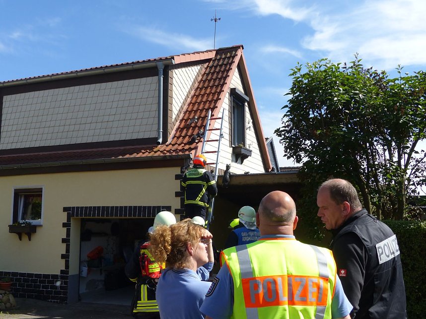 Feuer in der Vogelsiedlung