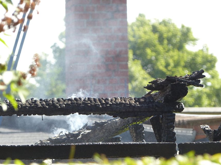 Feuer in der Vogelsiedlung