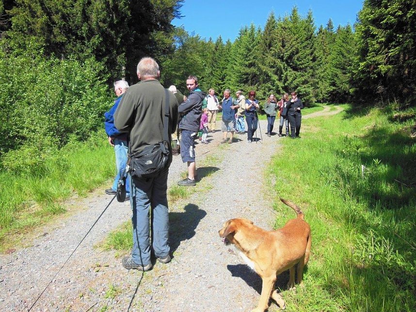Unterwegs im S&uuml;dharz