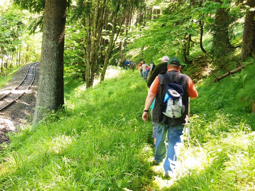 Unterwegs im S&uuml;dharz