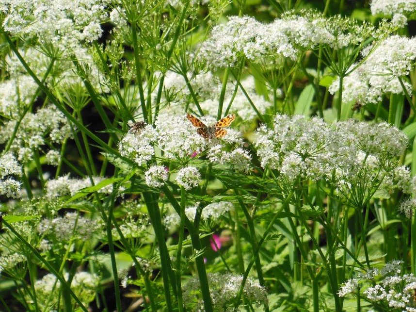 Unterwegs im S&uuml;dharz