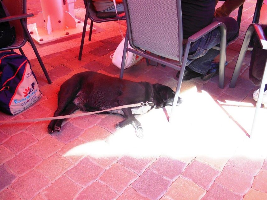 Unterwegs im S&uuml;dharz