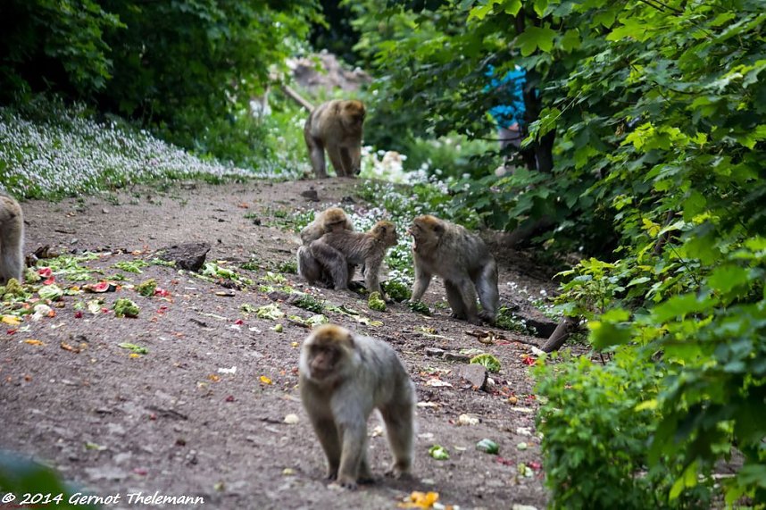 Besuch auf dem Strau&szlig;berg