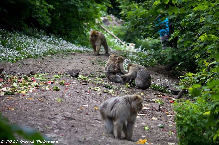 Besuch auf dem Strau&szlig;berg
