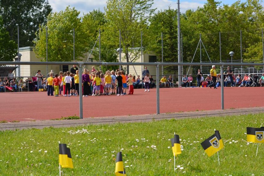 Nachwuchs zeigte sein K&ouml;nnen