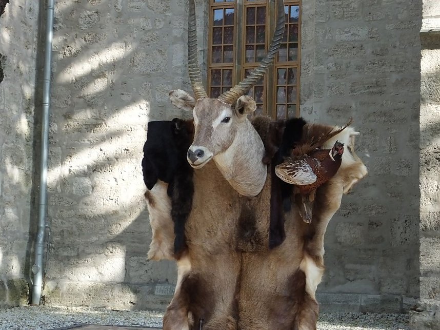 Zwei Feste in Wei&szlig;ensee