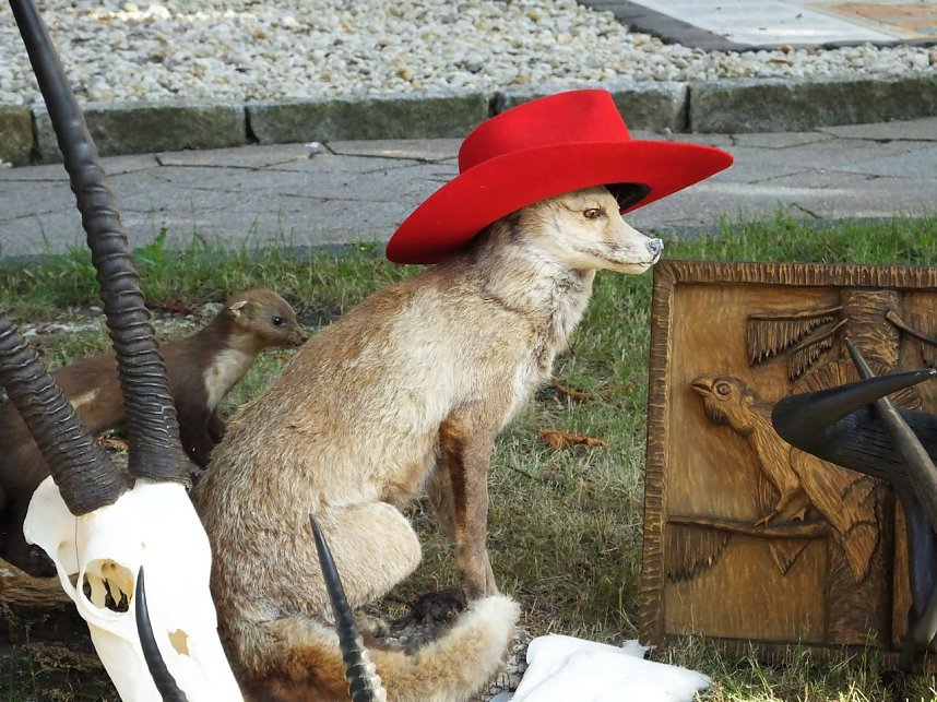 Zwei Feste in Wei&szlig;ensee