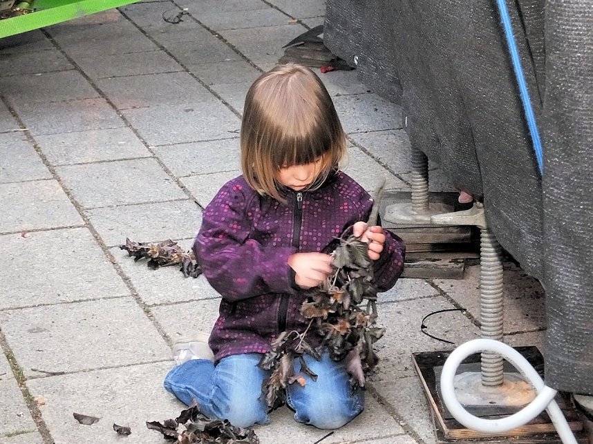 Rolandsfest 2014 - Der Auftakt