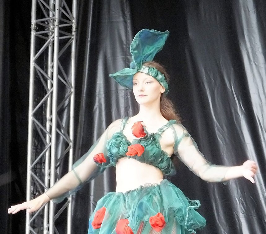 Flower Power beim Rolandsfest