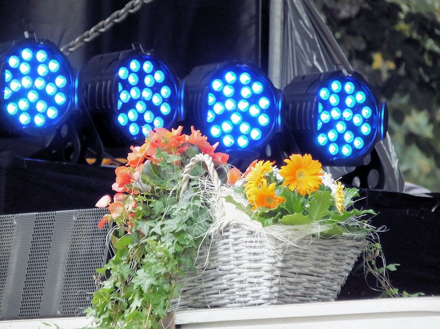 Flower Power beim Rolandsfest