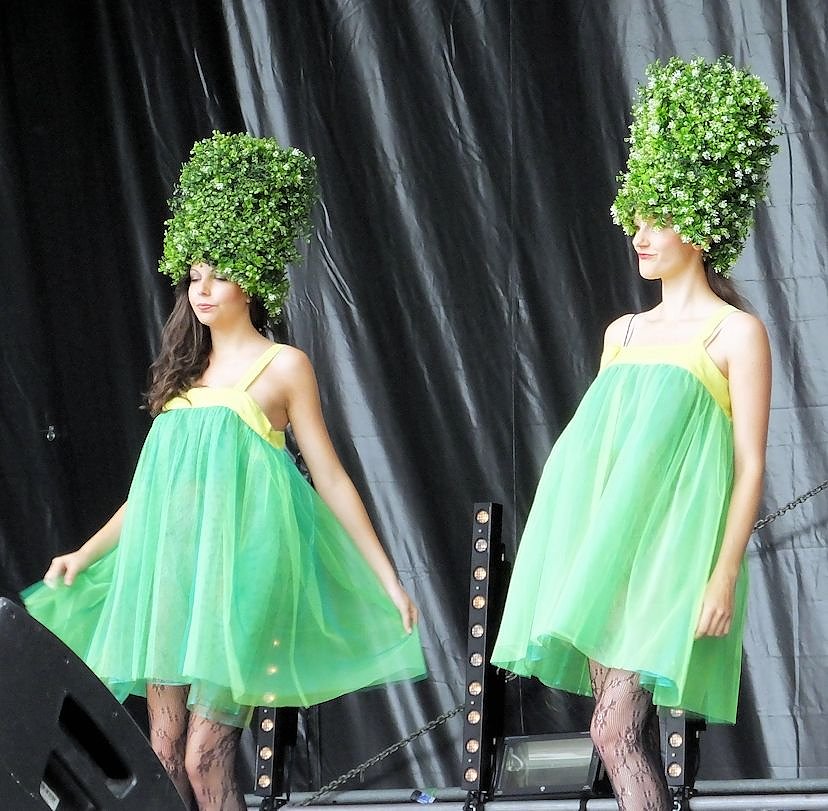Flower Power beim Rolandsfest