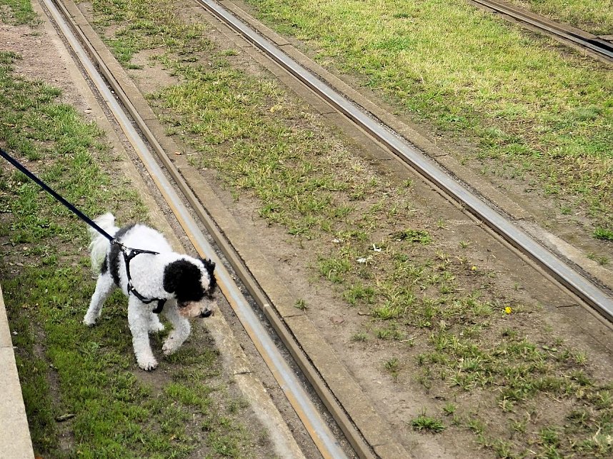 Rolandsfest 2014 - Der Samstag