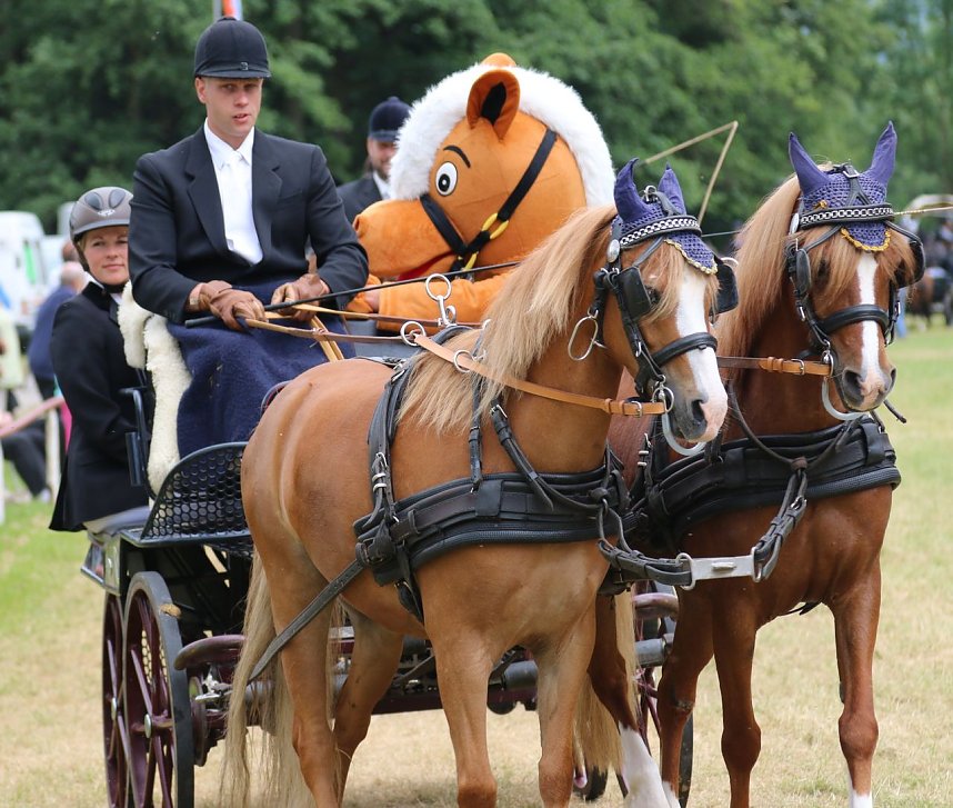 Ponyfest in W&uuml;lfingerode