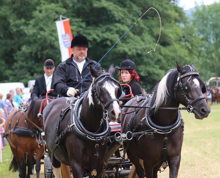 Ponyfest in W&uuml;lfingerode