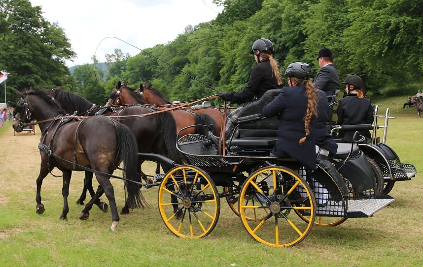 Ponyfest in W&uuml;lfingerode