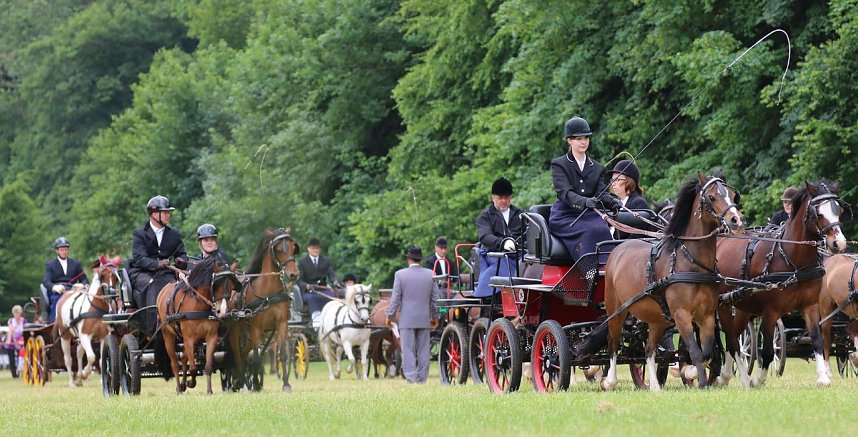Ponyfest in W&uuml;lfingerode