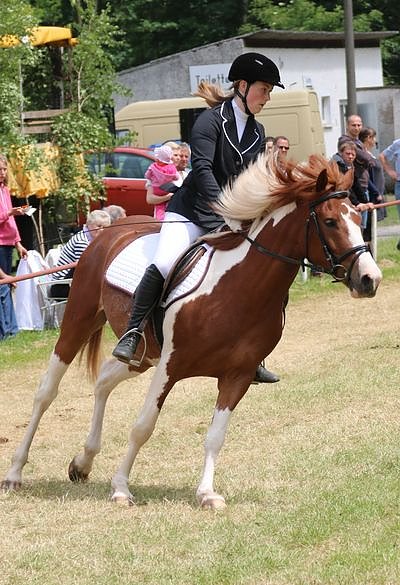 Ponyfest in W&uuml;lfingerode