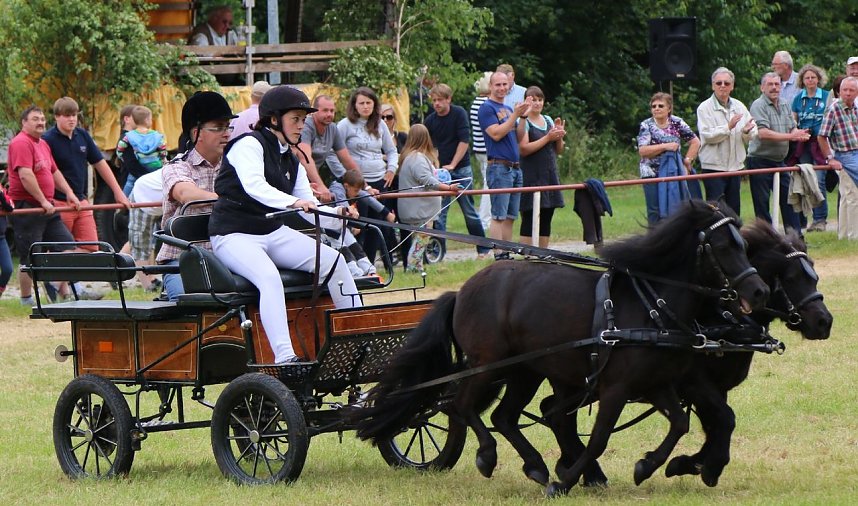 Ponyfest in W&uuml;lfingerode