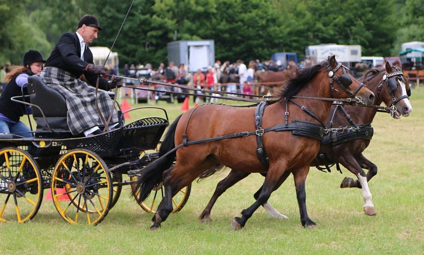 Ponyfest in W&uuml;lfingerode