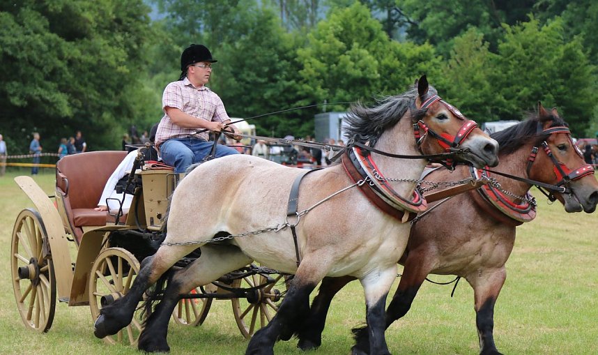 Ponyfest in W&uuml;lfingerode