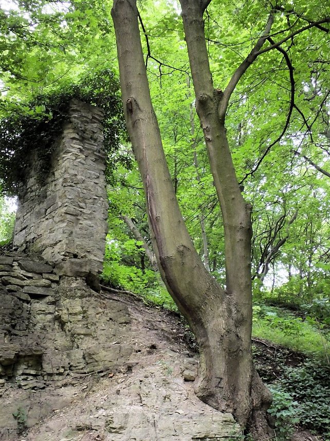 Peter Blei besuchte die Burg Lohra
