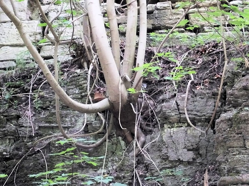Peter Blei besuchte die Burg Lohra