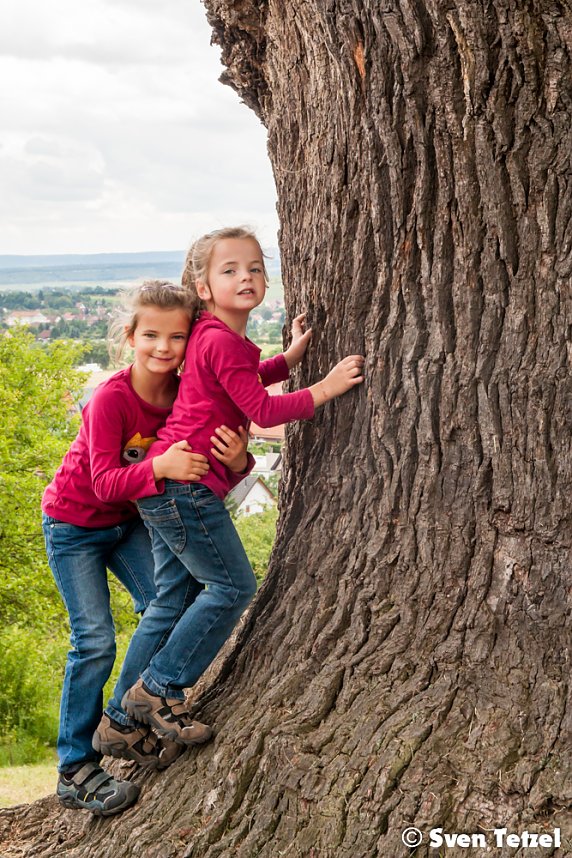 Eichenfest in Krimderode