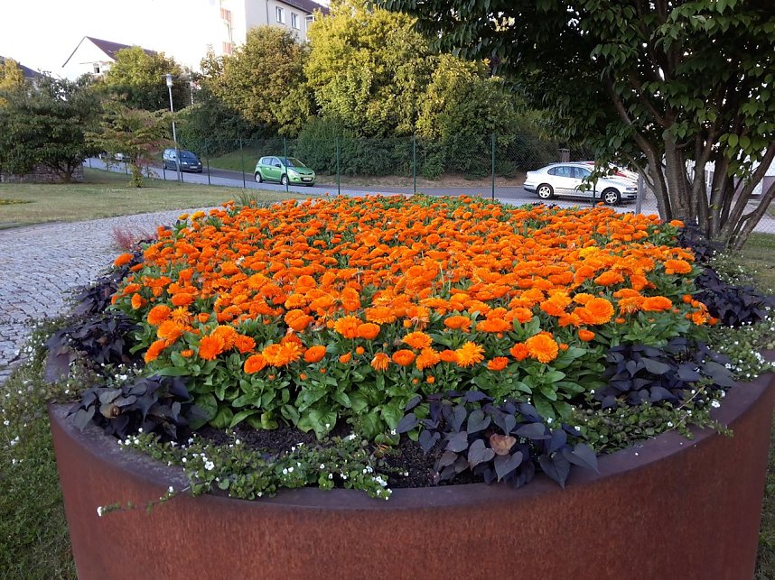 Nach dem Spiel auf dem Berg