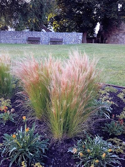 Nach dem Spiel auf dem Berg