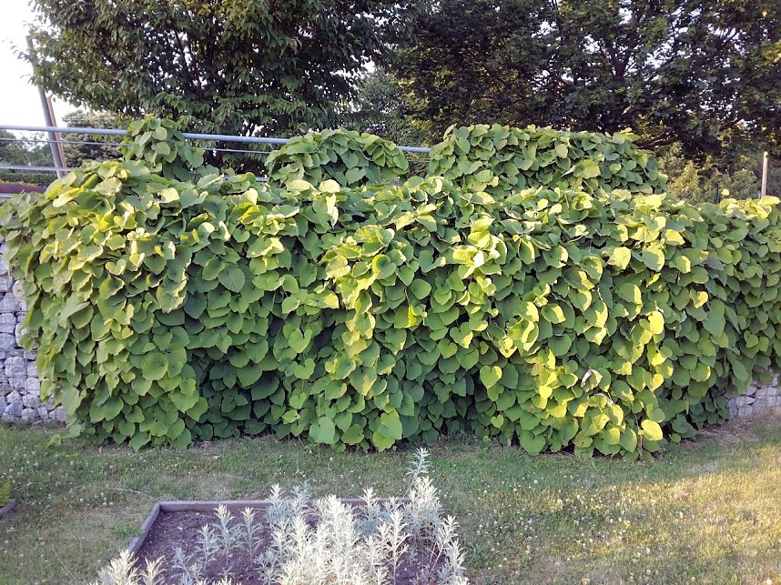 Nach dem Spiel auf dem Berg