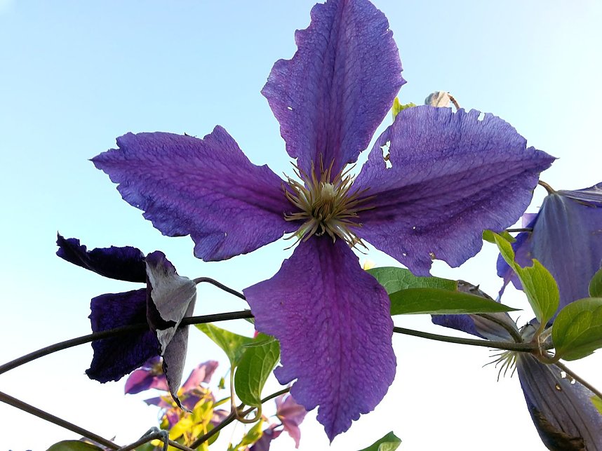 Nach dem Spiel auf dem Berg