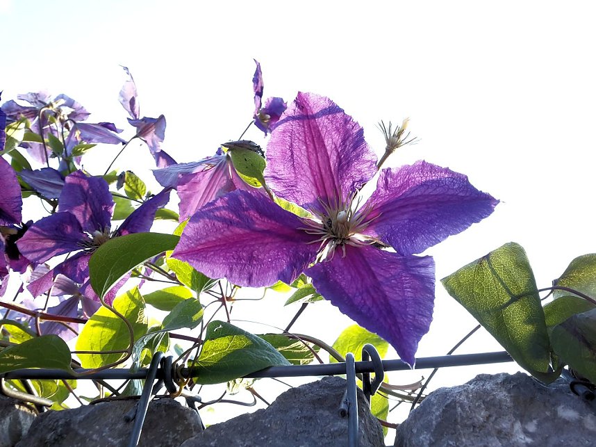 Nach dem Spiel auf dem Berg