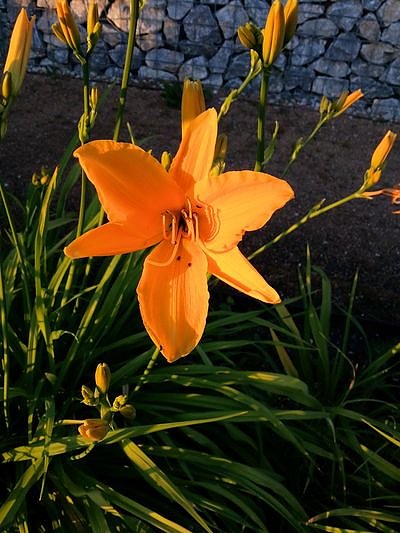 Nach dem Spiel auf dem Berg