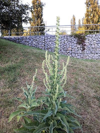 Nach dem Spiel auf dem Berg