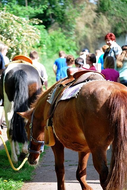 Sommerferienwoche im Schullandheim Harz Rigi