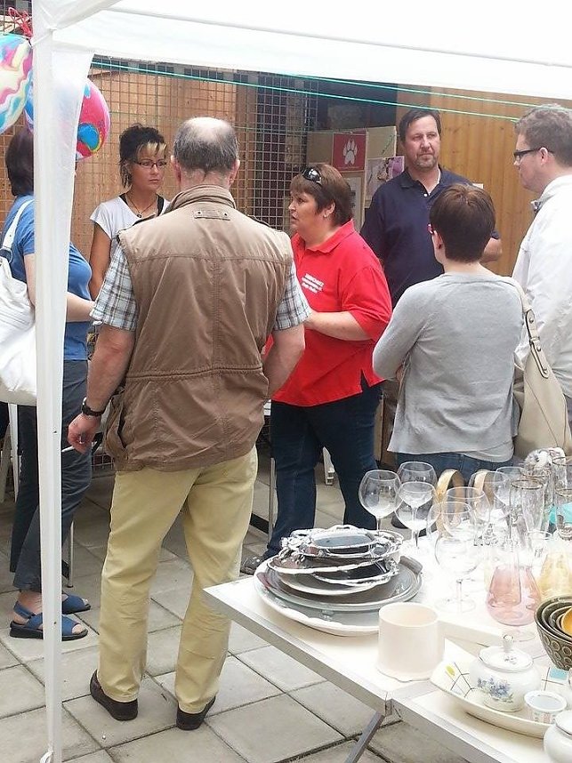 Tierisches Sommerfest