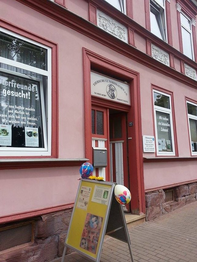 Tierisches Sommerfest