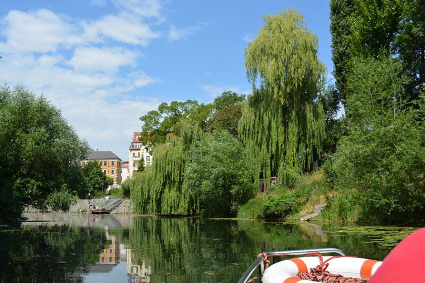 Doppelk&ouml;rner auf Tour