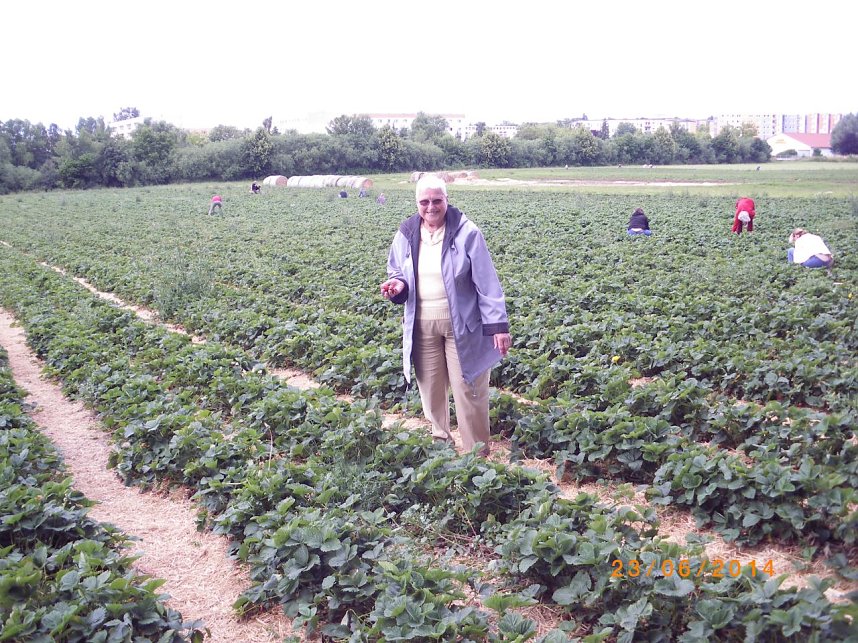 Erdbeeren und Fu&szlig;ball