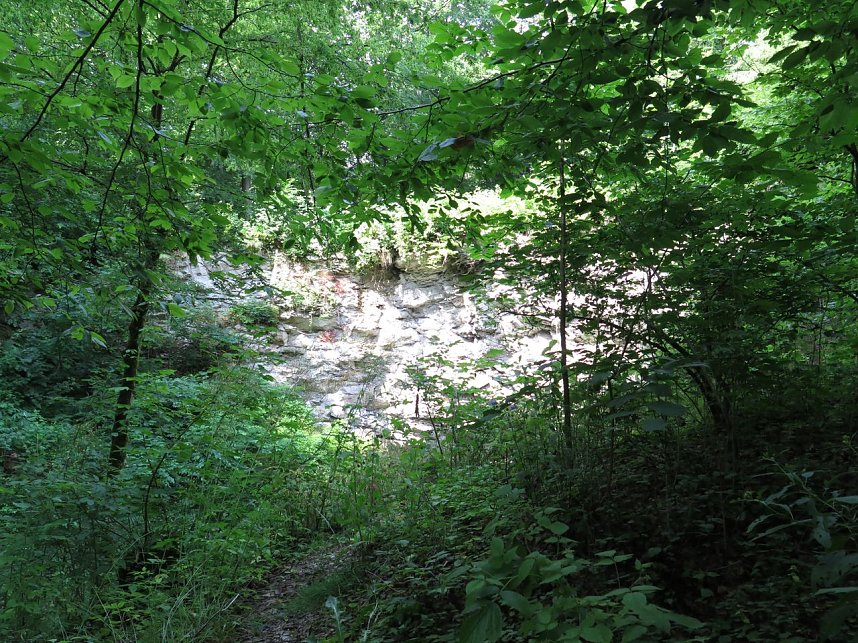 Wahlkampf an der Kelle