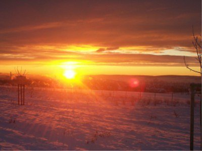 Sch&ouml;nheit und K&auml;lte