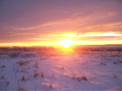 Sch&ouml;nheit und K&auml;lte