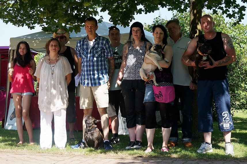 Bulldoggen aller L&auml;nder....